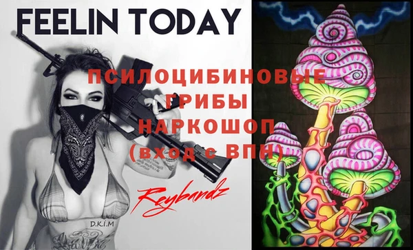 PSILOCYBIN Алзамай