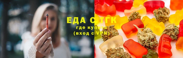 PSILOCYBIN Алзамай