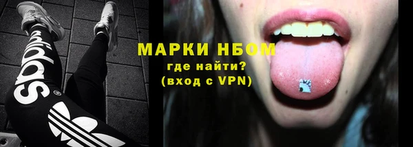 PSILOCYBIN Алзамай