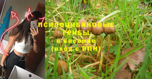 PSILOCYBIN Алзамай