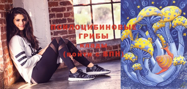шишки Алексеевка