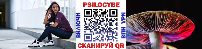 Галлюциногенные грибы Psilocybe  Белоярский 